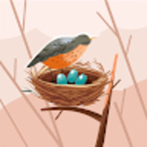 Meet your Posher, Robin